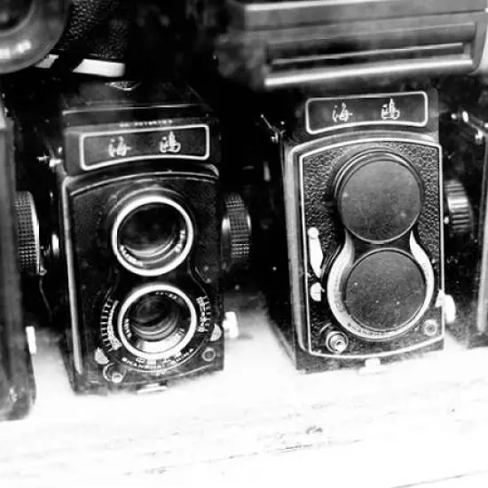 Rare Finds II Poster Print by Susan Bryant - Item # VARPDX9410F {2}