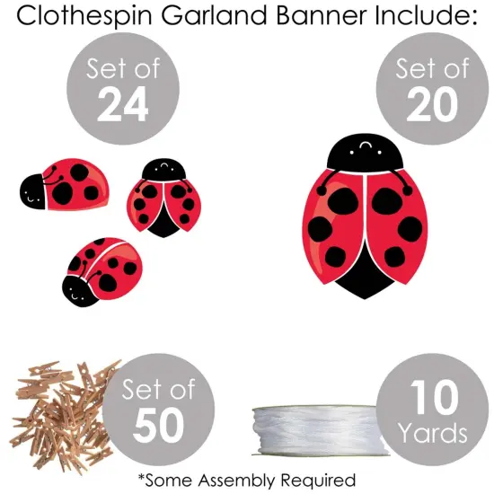 Big Dot of Happiness Happy Little Ladybug - Baby Shower or Birthday Party DIY Decorations - Clothespin Garland Banner - 44 Pieces {6}