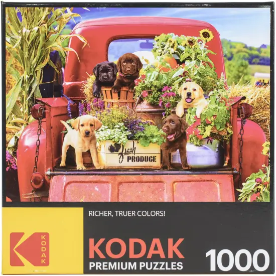Kodak Premium Jigsaw Puzzle 1000 Pieces 20"X27"-Stowaways {1}