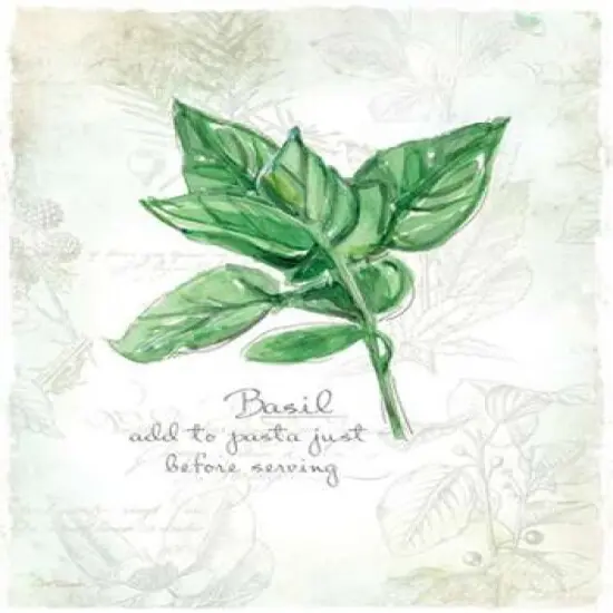 Fresh Basil Poster Print byCarol Robinson - Item # VARPDX17352 {1}