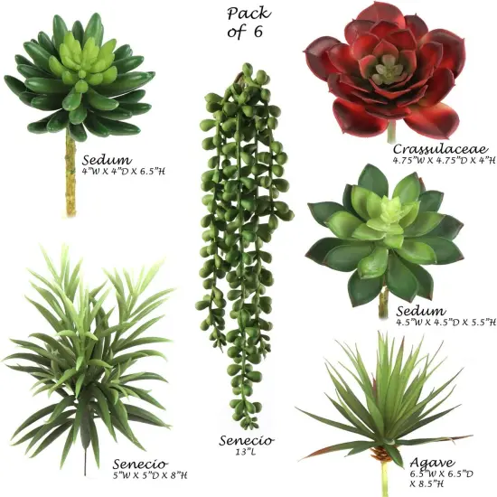 Six Pack Succulent Set, 6 Individual Picks, Natural Sized Artificial Plants, Aloe, Hanging Pearl for Arrangements, Pots, and School Projects, Floral Home by Artificial Flowers {2}