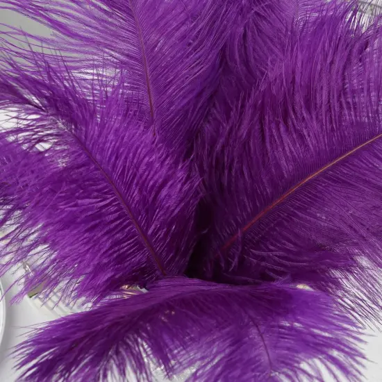 12 pcs 13"-15" long Genuine Ostrich Feathers Purple {1}