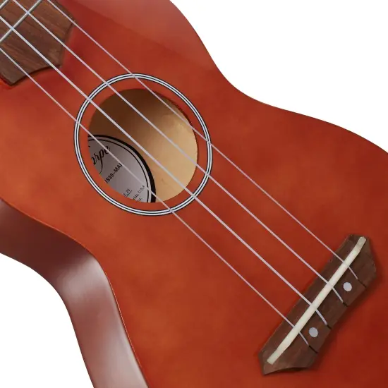 Ashthorpe Soprano Ukulele for Beginners, 21-inch 4 String Uke Starter Bundle Kit for Kids with Gig Bag, Cloth, and Picks {2}