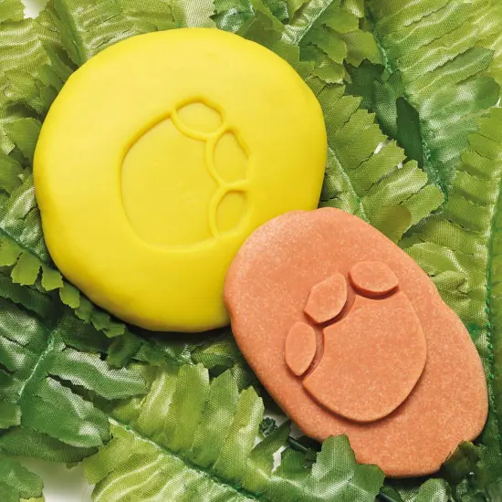 Let's Investigate Dinosaur Footprints {5}