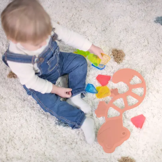 Feel to Learn: Translucent Colorful Lizard {5}