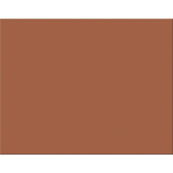 4-Ply Railroad Board, Brown, 22" x 28", 25 Sheets {1}
