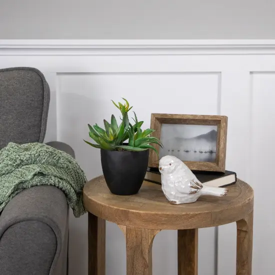 Northlight Potted Green Artificial Mixed Succulent Plant Arrangement - 11" {3}