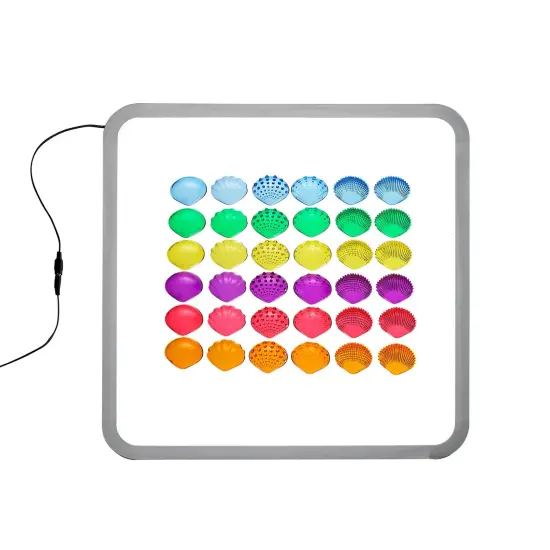 Tactile Shells - Transparent - Mini Jar - Set of 36 {5}