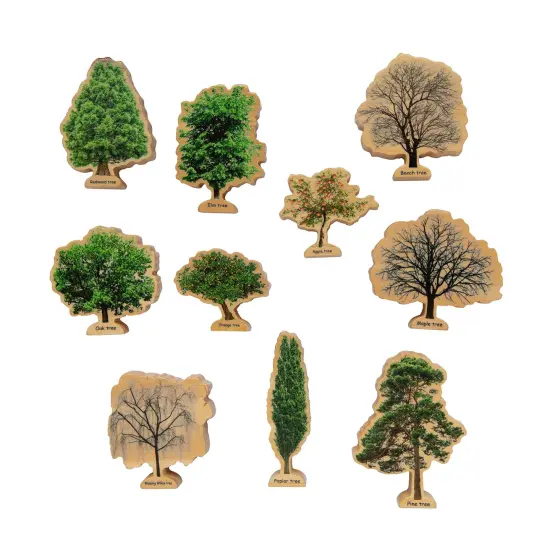 Seasons Wooden Trees {2}