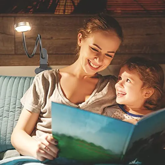 Clip on Light/Reading Light/Book Light Color Changeable/Night Light Clip on for Desk, Bed Headboard and Computers (Silver) {6}