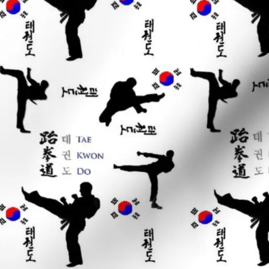 Various Fabrics by the Yard or Fat Quarter Large Print Martial Arts Fitness Health Custom Printed Fabric by Spoonflower {7}