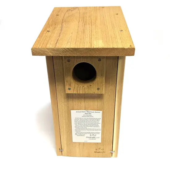 Screech Owl And American Kestrel Nest Box {3}