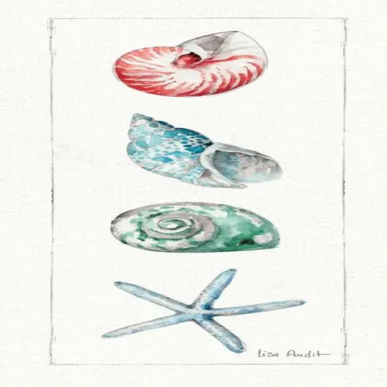 Sea Finds IV Poster Print by Lisa Audit - Item # VARPDX16815 {1}