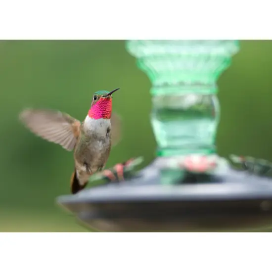 Perky-Pet Green Antique Hummingbird Feeder {3}