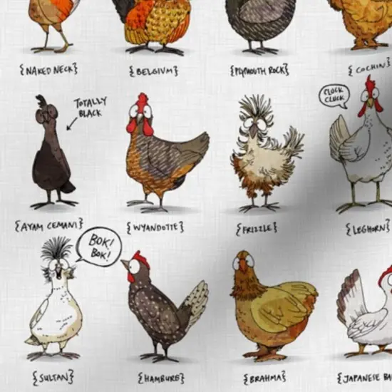 Various Fabrics by the Yard or Fat Quarter Chickens World Chicken Illustration Cute Rooster Modern Farmhouse Farm Animal Shabby Chic Kitchen Livestock Custom Printed Fabric by Spoonflower {7}