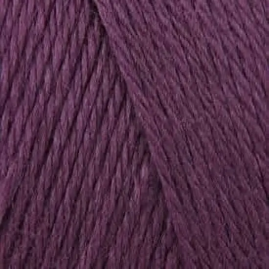 (Pack of 2) Caron Simply Soft Solids Yarn-Plum Perfect {2}