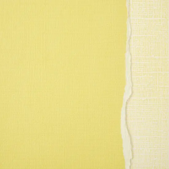 Core'dinations Sandable Cardstock 12"X12"-Tulip {1}