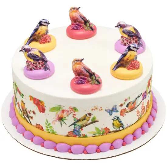 Springtime Birds Cupcake Rings, 12ct {6}