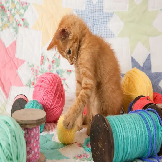 Sunsout Kitty Plays Ball 300 pc Jigsaw Puzzle 72106 {1}