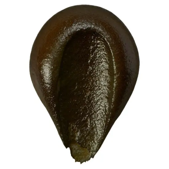 Harvest Brown Premium Airbrush Color  {2}