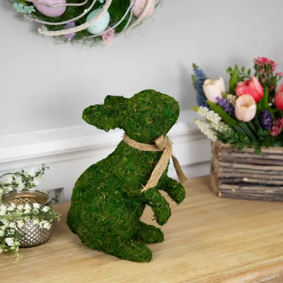 Northlight Standing Moss Easter Rabbit Figurine - 10" Green {3}