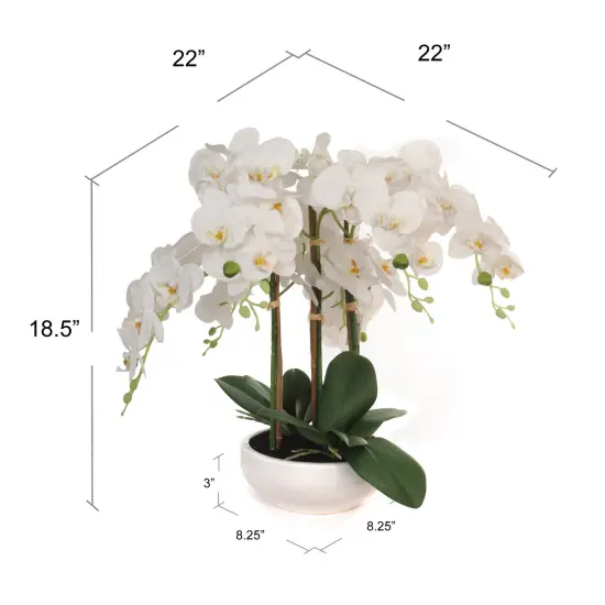 19-Inch Phalaenopsis Orchid Arrangement in Elegant Floral D&eacute;cor for Home and Office, Floral Home by Artificial Flowers {3}