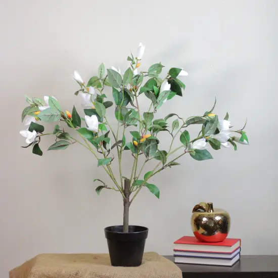 Northlight 32.5" White and Black Potted Artificial Lily Magnolia Flowering Tree {3}