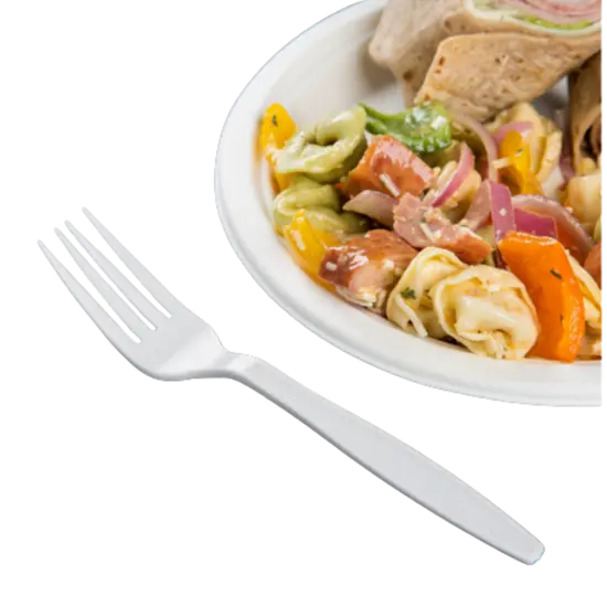 Kitcheniva Disposable White Plastic Forks For Party {4}