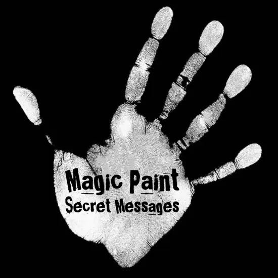 Universal Magic Paints Thermochromic Heat Sensitive for Secret Messages Color Changing T-Shirts & Shoes Black to colorless {2}