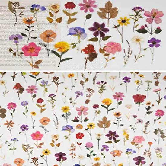 320 Pieces Pressed Flower Themed Stickers SetDried Flowers Resin Stickers Decals Floral Botanical Journaling Stickers for Scrapbook Supplies Junk Journal Bullet Journal Planner Laptops {5}