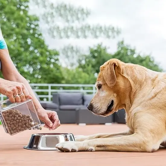 468 Cavity Mini Round Silicone Mold/Chocolate Drops Mold/Dog Treats Pan/Semi Sphere Gummy Candy Molds for Ganache Jelly Caramels Cookies {6}