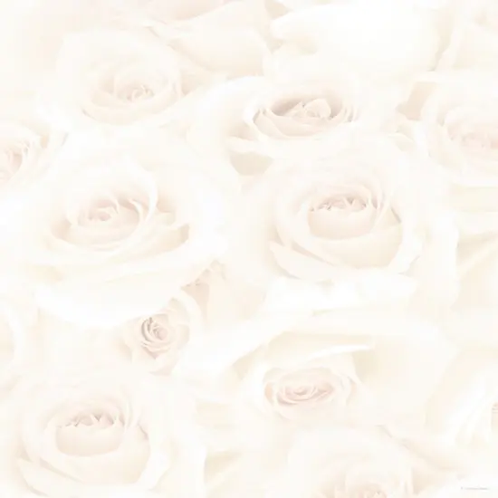 Great Papers! Blush Roses Stationery Letterhead, Invitations and Announcements, Printer Friendly, 8.5"x11", 80 Pack {1}