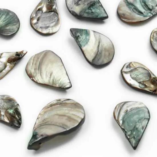 6 Packs of Tinted Shell Fan Slate 2/8" Strand {1}