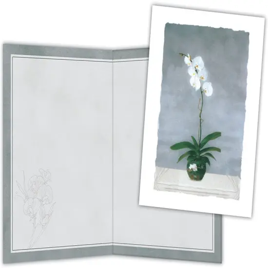 White Orchids {1}