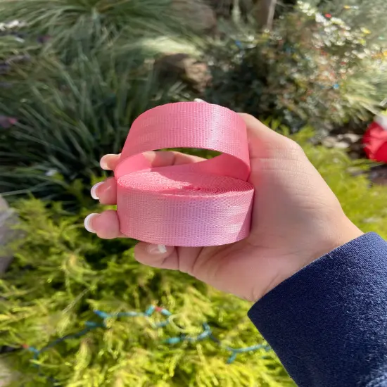 Ballerina pink 1” Seatbelt Webbing (by the yard) {1}