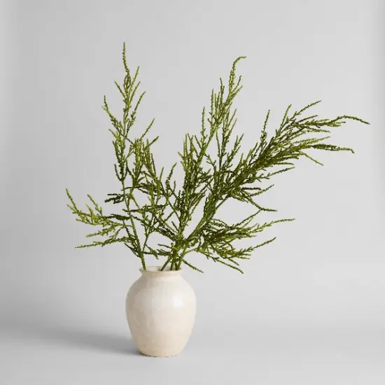 Summer Green Spiny Amaranthus Spray Eco-friendly Artificial Stems by Bloomist {2}