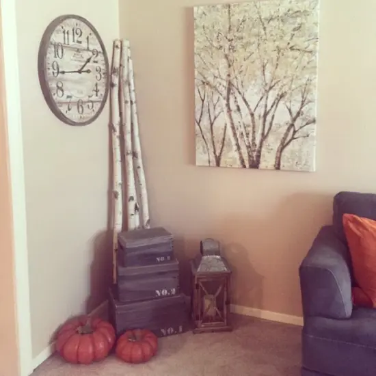 Wilson White Birch Poles 3, 4, 5, 6, 7, & 8 ft lengths {7}