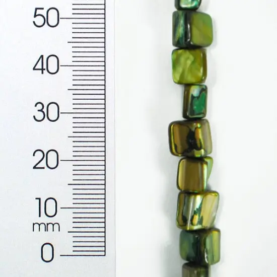 6 Packs of Tinted Shell Nugget Olive 2x8" Strand {1}