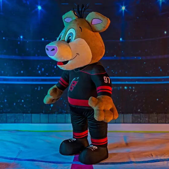 Bleacher Creatures Carolina Hurricanes Stormy 20" Jumbo Mascot Plush Figure {6}
