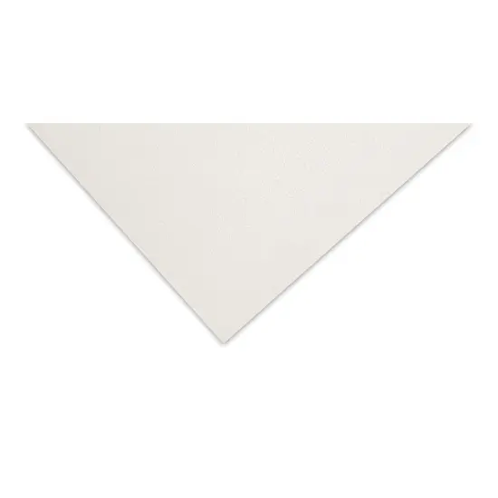 Stu Art Economy Mat Board Pack - 16" x 20", Pkg of 50 {1}