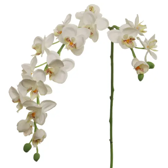 White Dancing Orchid Stem - 12-Pack, Silk Flowers, Lifelike Blooms, Ideal for Floral Arrangements, Home & Event D&eacute;cor - Perfect for All Seasons, Floral Home by Artificial Flowers {1}