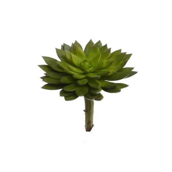 6-Pack: Real Touch Sedum Succulent Pick, 5.5" Wide by Floral Home&reg; {1}