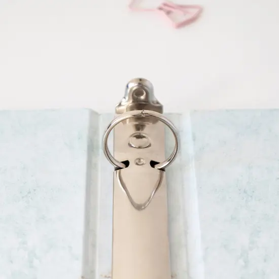 bloom daily planners 1" Ring Binder, 10" x 11.5", Blue Crystal {6}