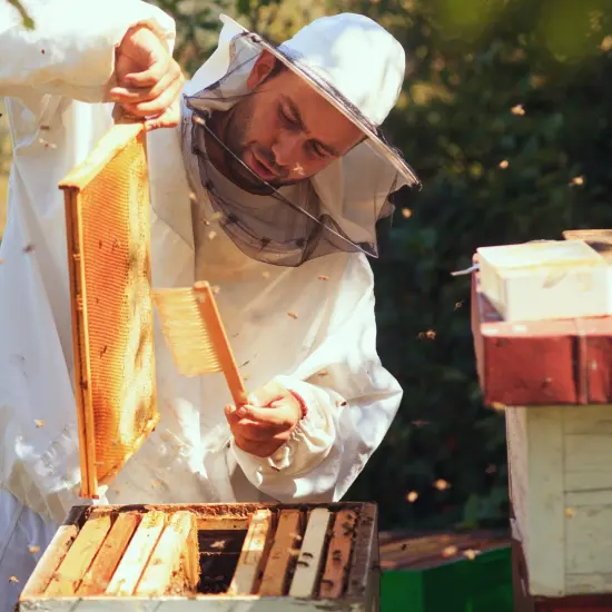 Stoney Acres Beekeeping Beehive Frame, Wired Beeswax Foundation, Deep Assembled, Honey Bee Hive, Amish Made {5}