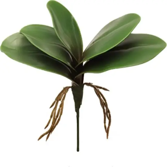 10.5" Green Phalaenopsis Leaf Cluster - Lifelike Artificial Foliage, Set of 2, Perfect for Arrangements, Home & Office Decor - Year-Round Greenery, Floral Home by Artificial Flowers {1}