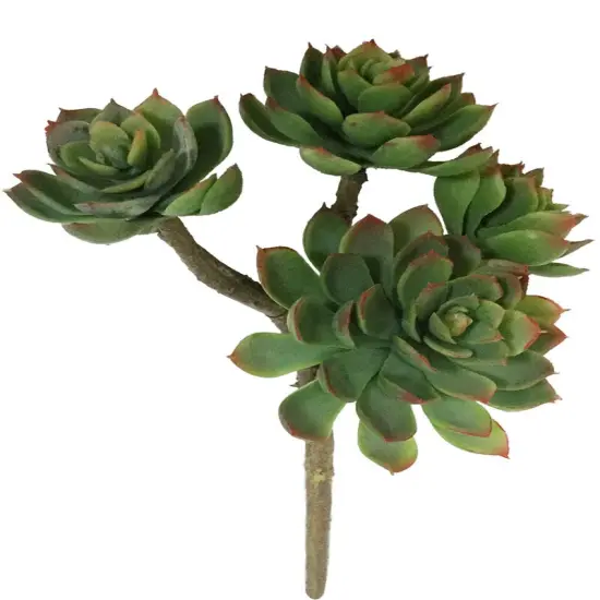 12-Pack: Real Touch Echeveria Succulent Plant, 2.5" Wide by Floral Home&reg; {1}