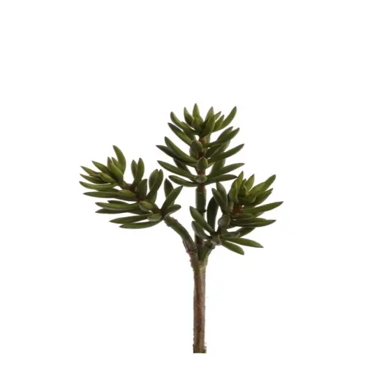 Sedum Succulent Plant Spray: Set of 6, 13-Inch, 6" Wide, Floral Home by Artificial Flowers {1}