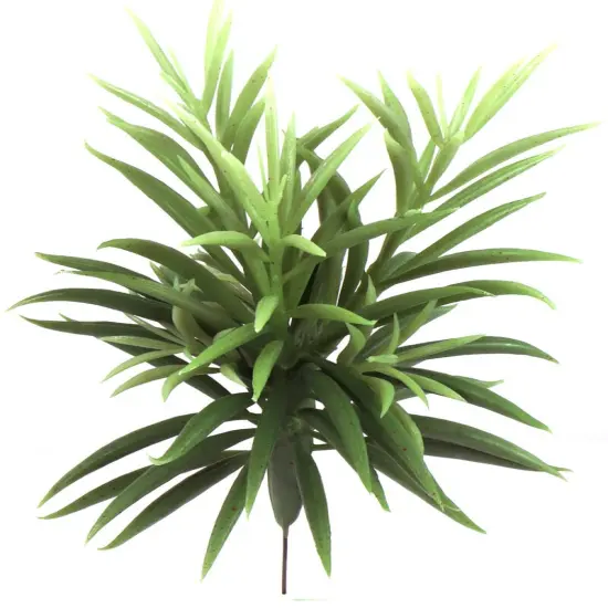 Lush 8" Senecio Succulents, Bulk Pack of 24 - Ideal for Indoor Plant Decor, Outdoor Gardens, and DIY Terrarium Projects - Low-Maintenance Greenery to Enhance Any Space, Floral Home by Artificial Flowers {1}