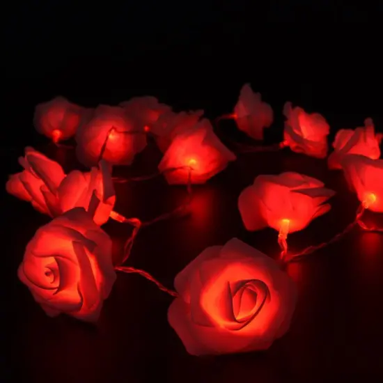 Red Rose Fairy Lights {2}