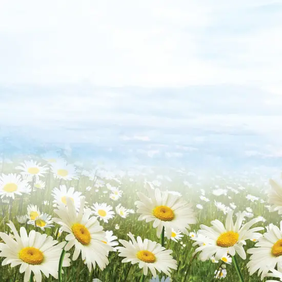 Great Papers! Daisy Day Stationery Letterhead, Invitations and Announcements, Printer Friendly, 8.5"x11", 80 Pack {2}